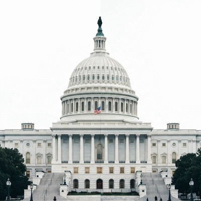 Stylized graphic illustrating the U.S. Capitol building split, with one side representing the House and the other the Senate, highlighting their distinct roles in the legislative process, no text, no words, no typography